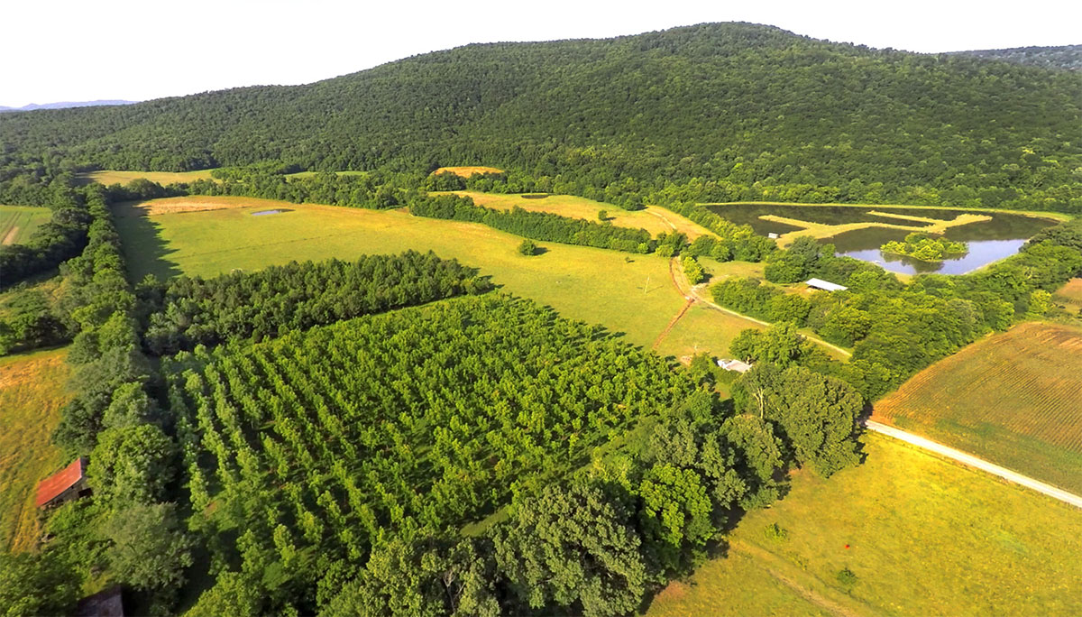 Mud Creek Farm property picture 2 of 11