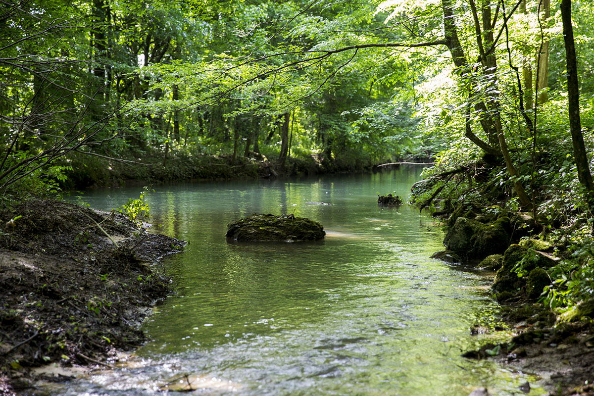 Mud Creek Farm property picture 6 of 11