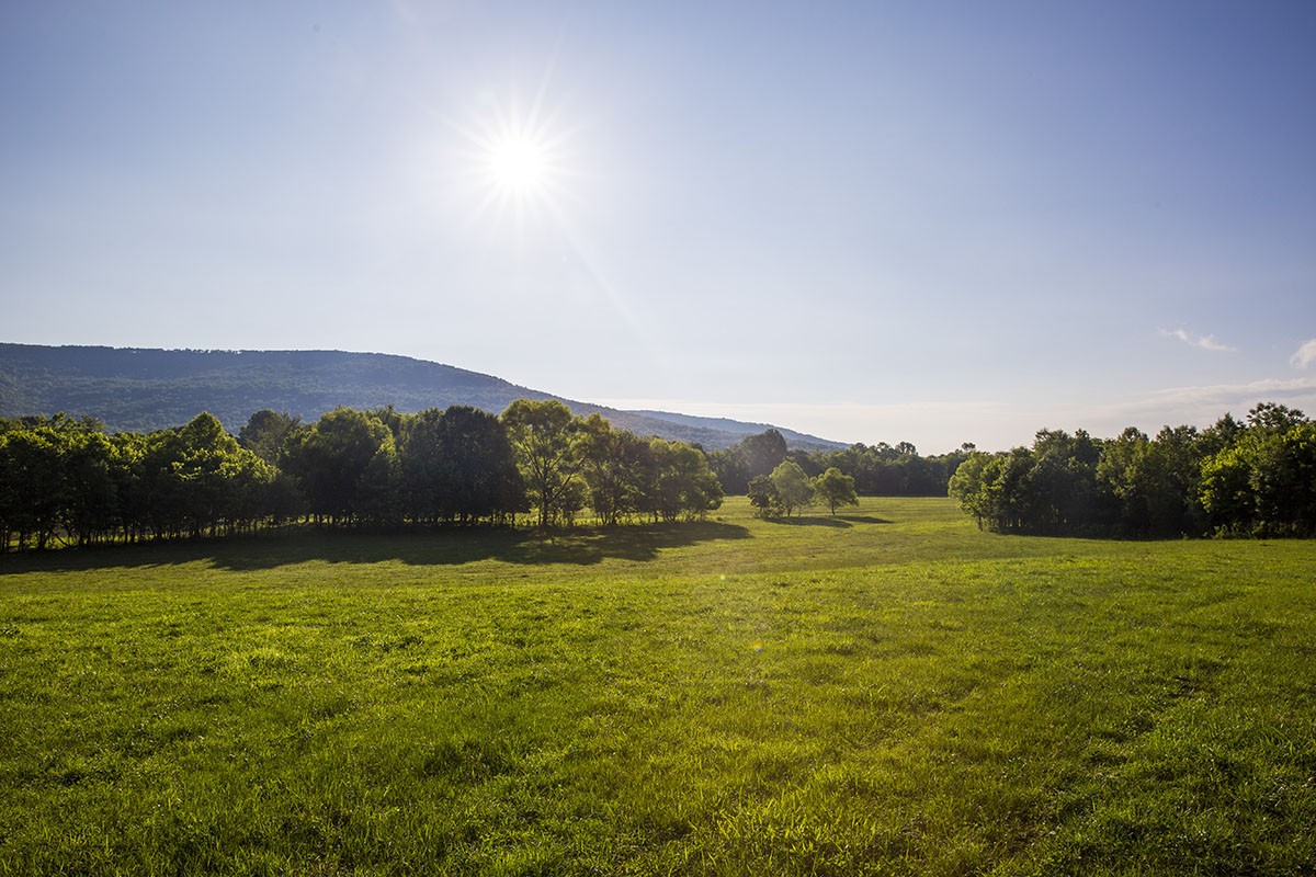 Mud Creek Farm property picture 9 of 11