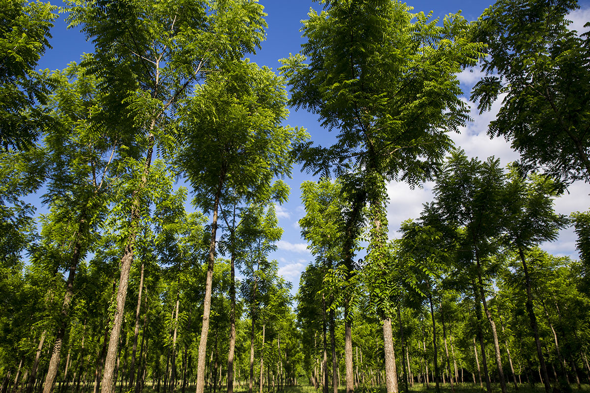 Mud Creek Farm property picture 8 of 11