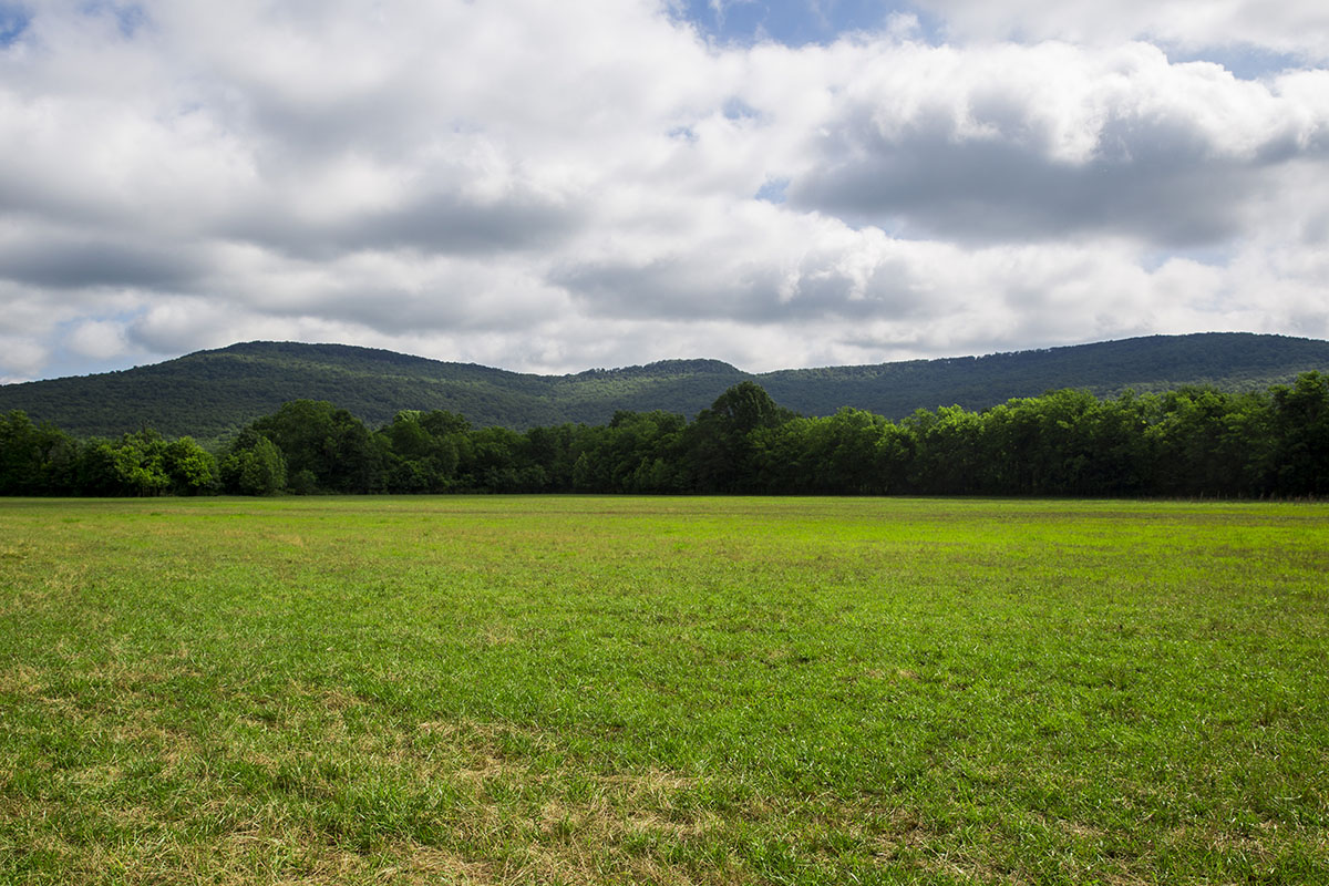 Mud Creek Farm property picture 10 of 11