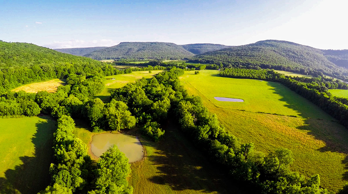 Mud Creek Farm property picture 4 of 11