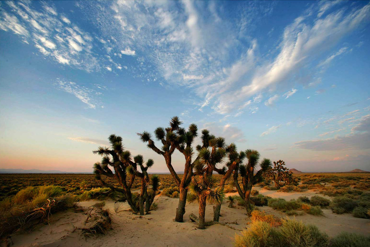 Skyward Ranch property picture 2 of 4