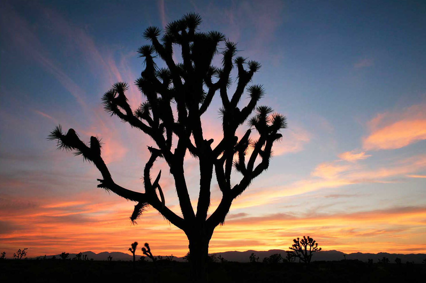 Skyward Ranch property picture 3 of 4