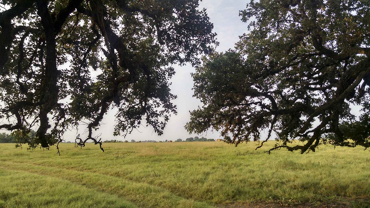 La Bahia Trail Ranch property picture 8 of 21