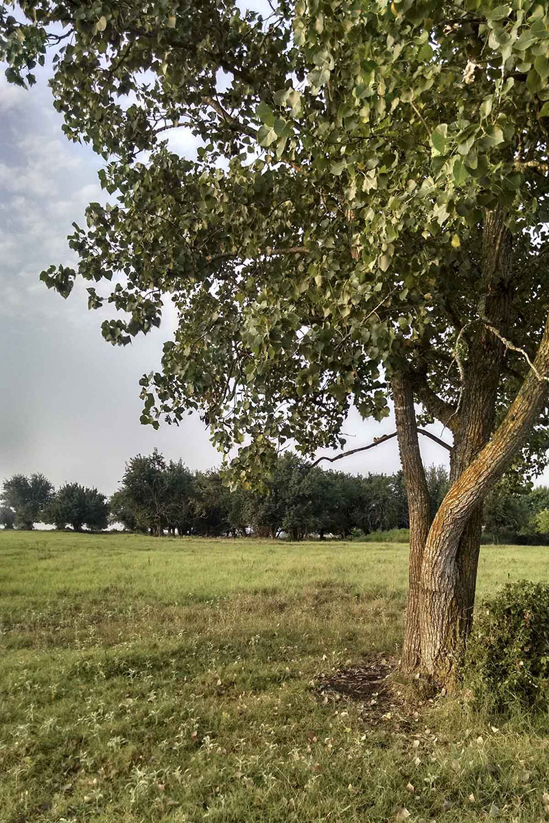 La Bahia Trail Ranch property picture 11 of 21