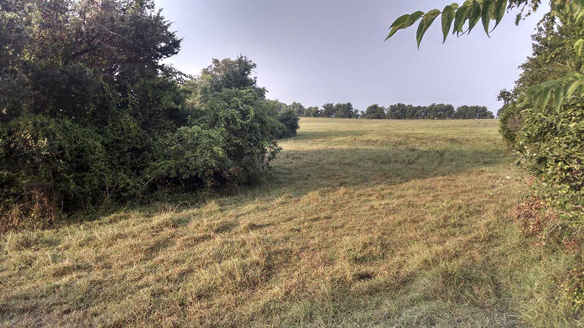 La Bahia Trail Ranch property picture 14 of 21