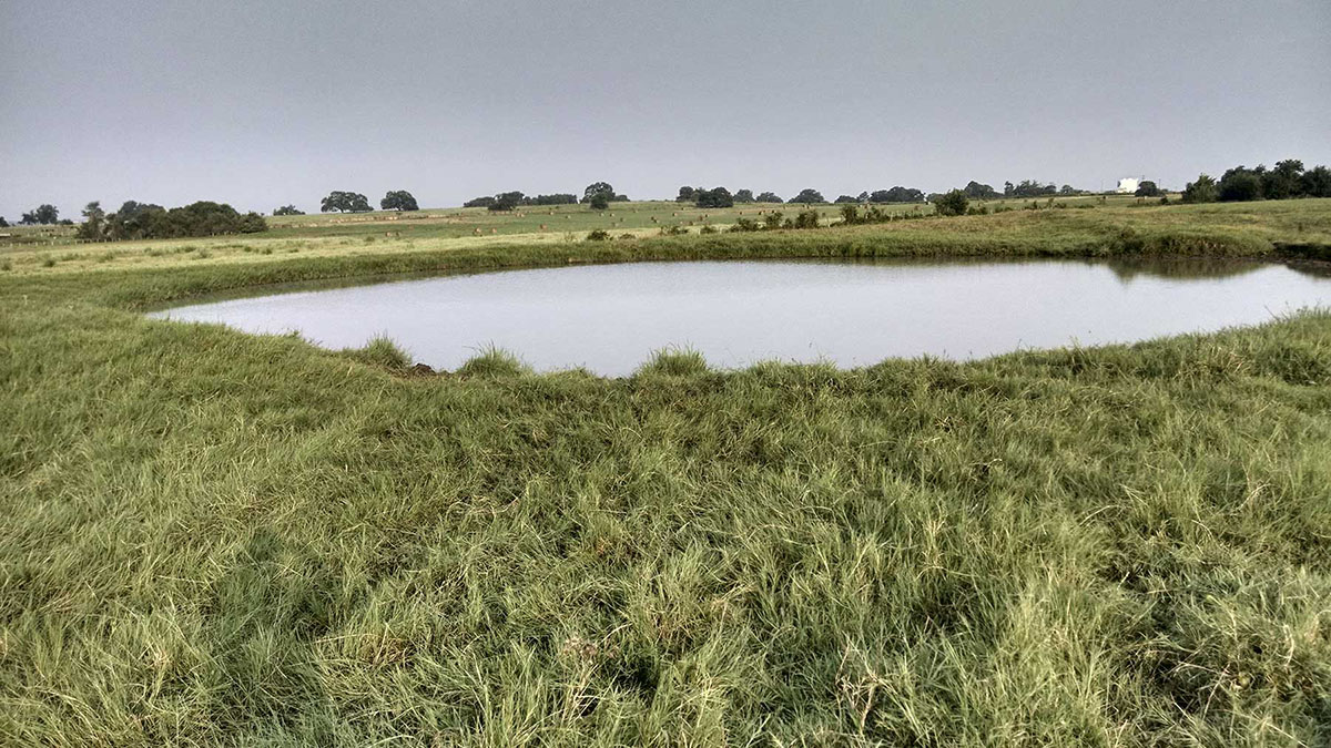 La Bahia Trail Ranch property picture 16 of 21