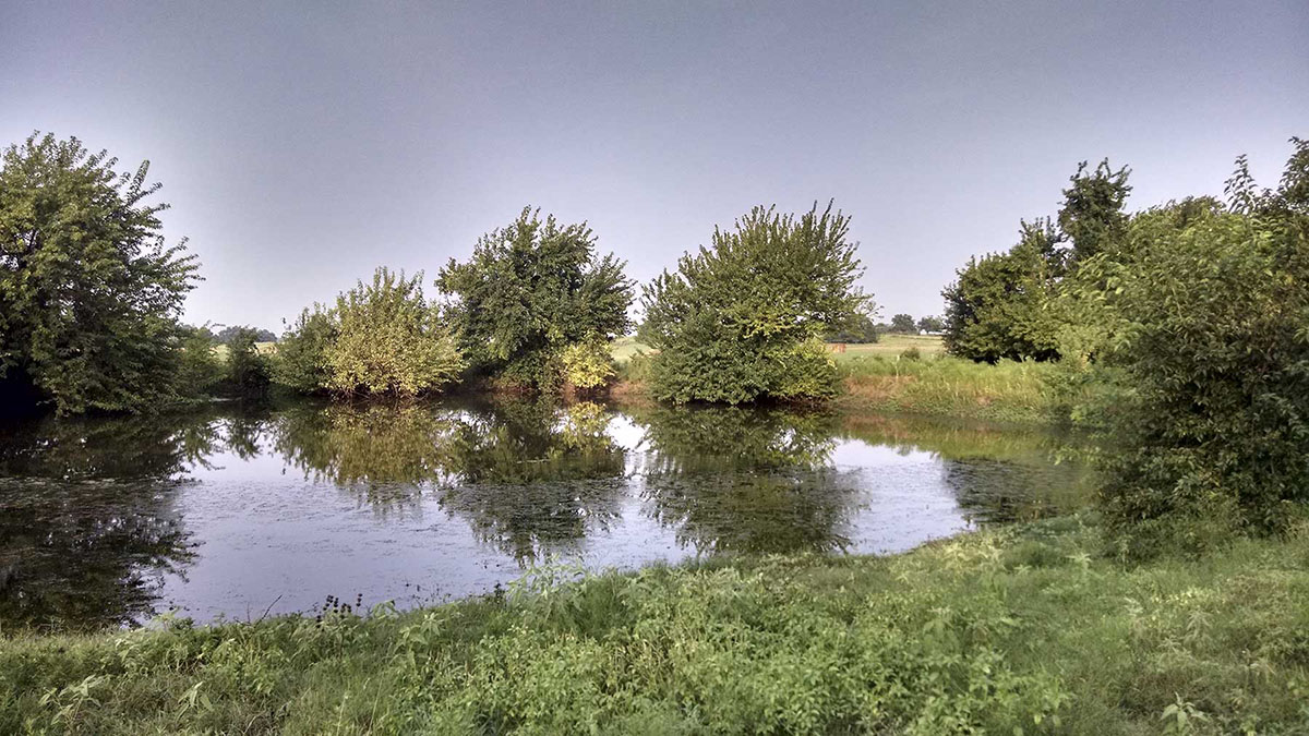 La Bahia Trail Ranch property picture 17 of 21