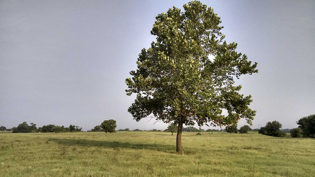 La Bahia Trail Ranch property picture 18 of 21