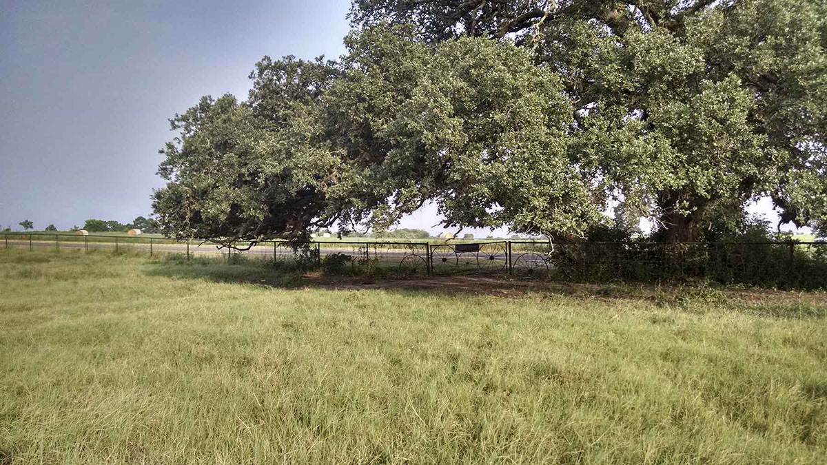 La Bahia Trail Ranch property picture 20 of 21