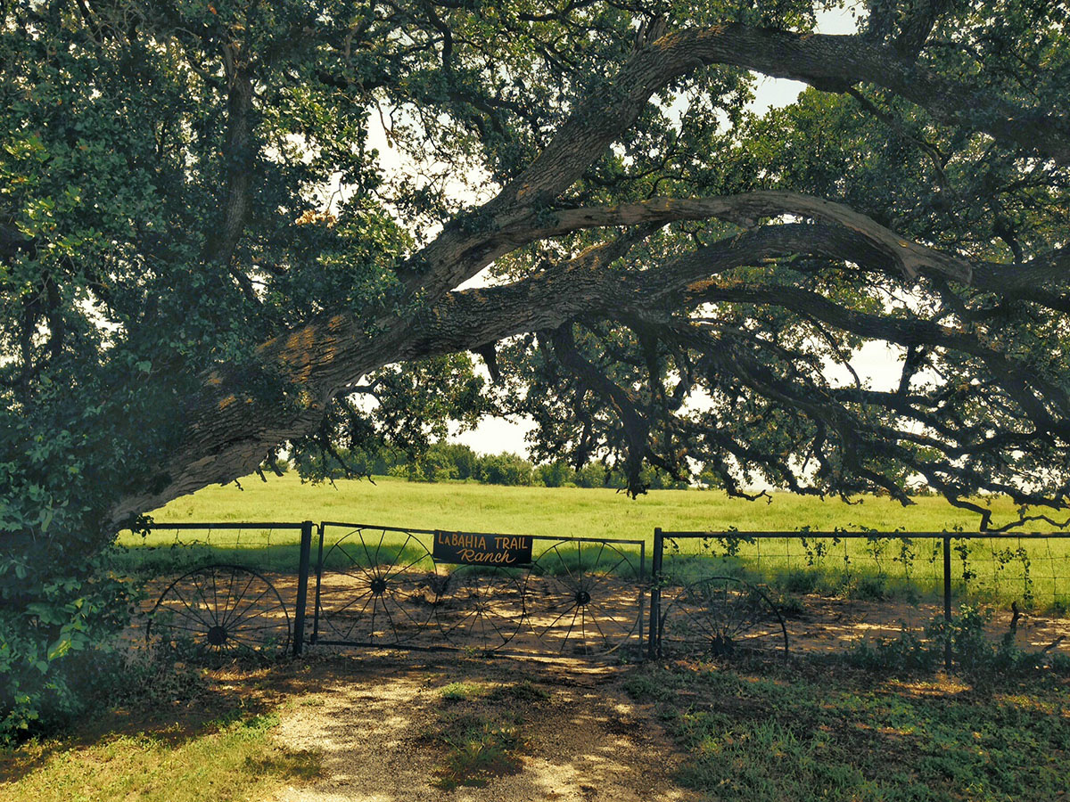 La Bahia Trail Ranch property picture 7 of 21