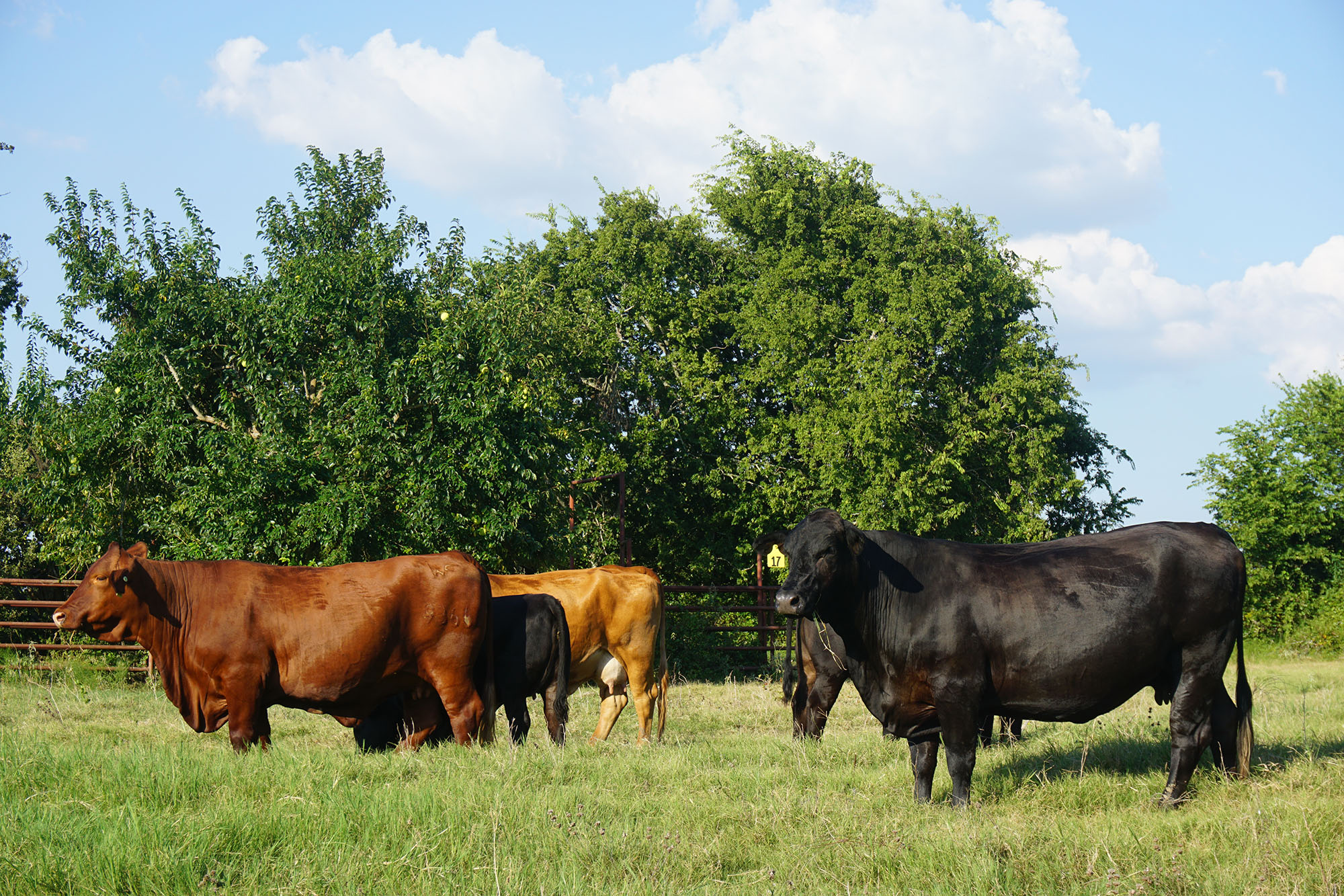 La Bahia Trail Ranch property picture 6 of 21