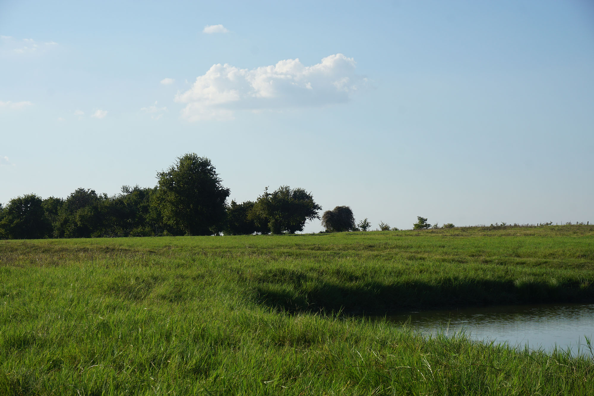 La Bahia Trail Ranch property picture 5 of 21