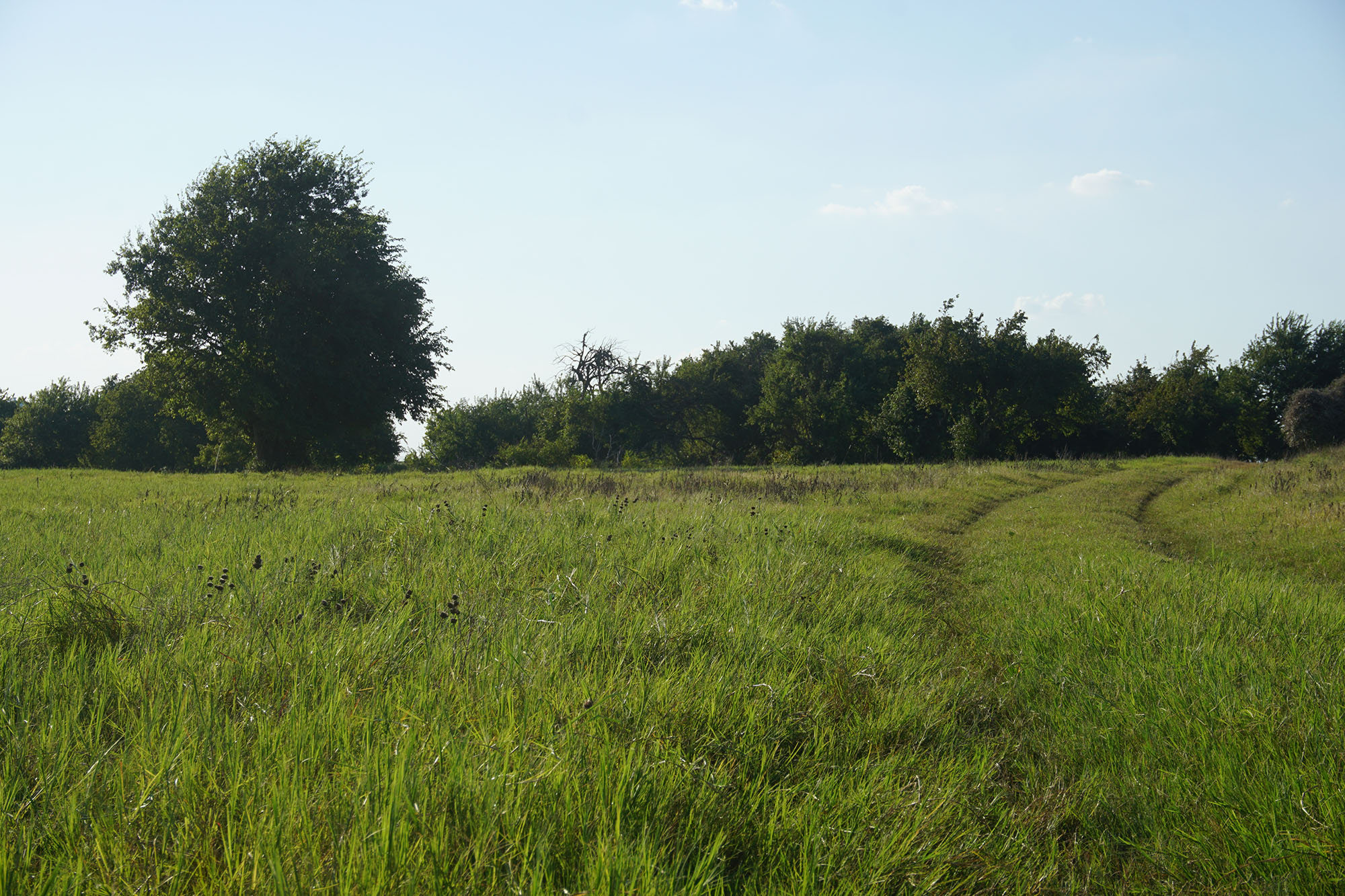 La Bahia Trail Ranch property picture 4 of 21