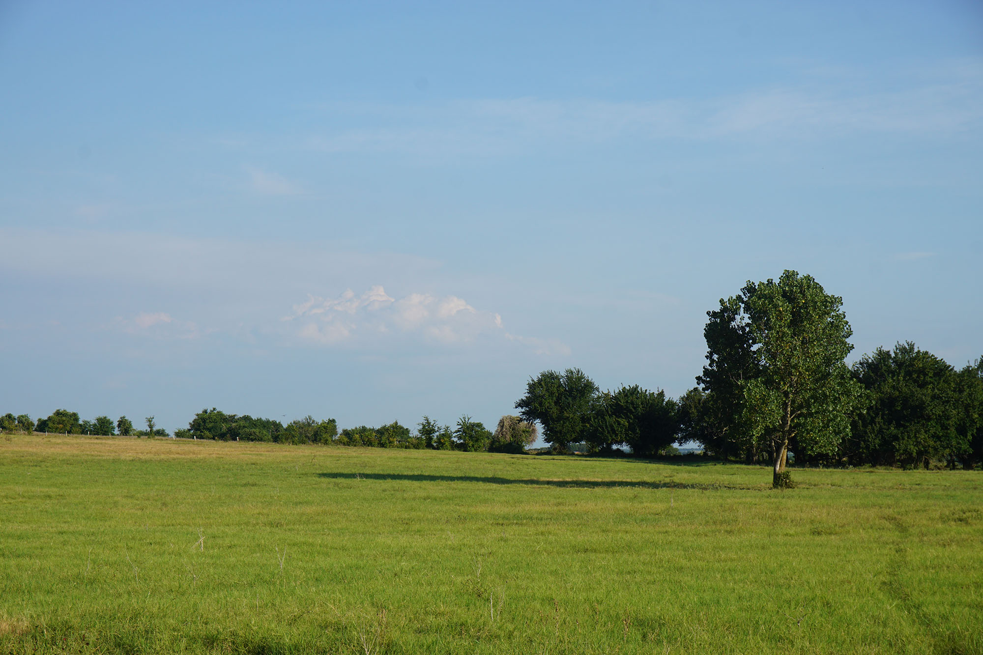 La Bahia Trail Ranch property picture 3 of 21