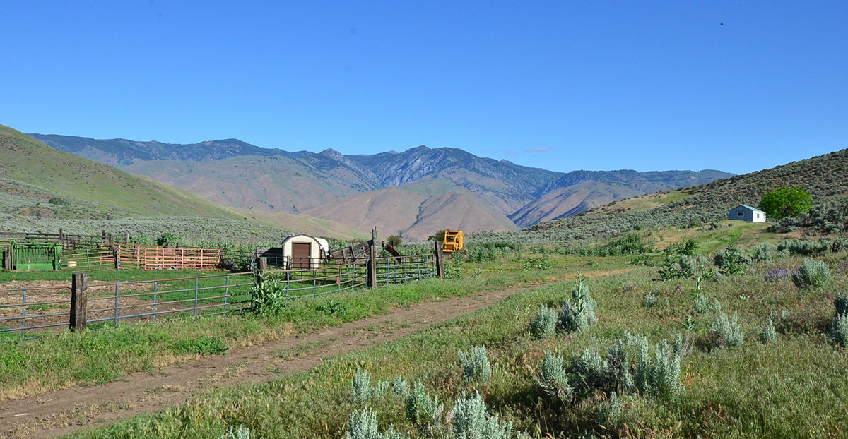 Rocking M Ranch Unit property picture 40 of 46