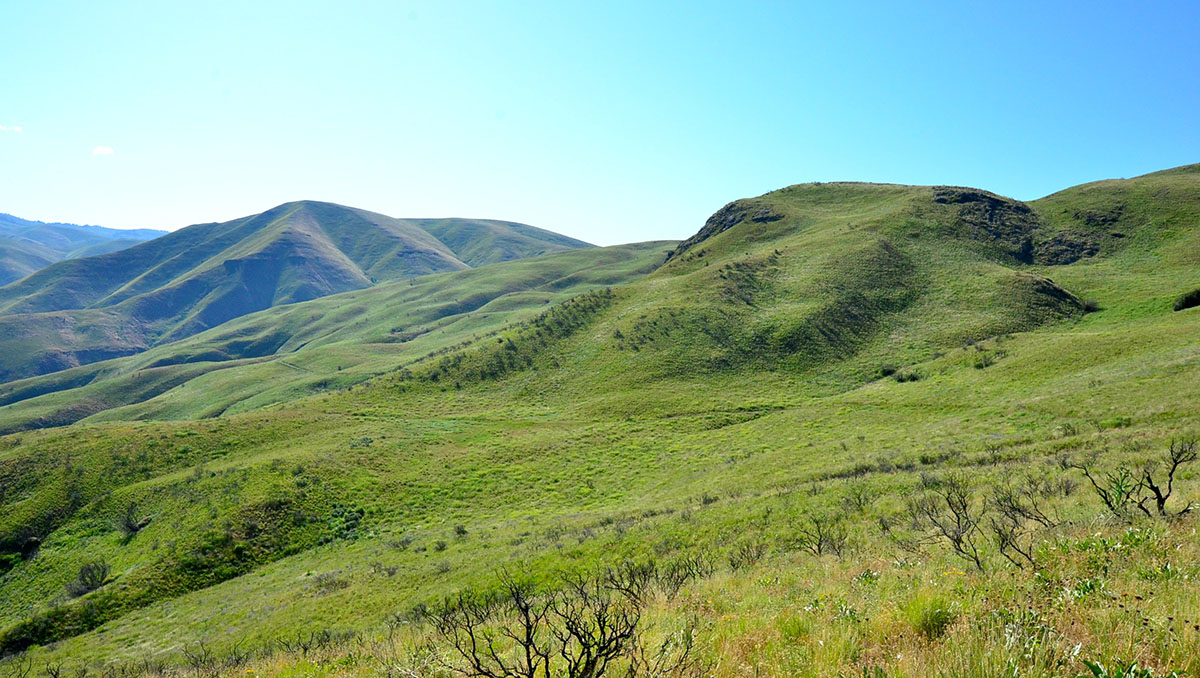 Rocking M Ranch Unit property picture 39 of 46