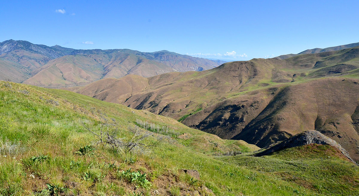Rocking M Ranch Unit property picture 38 of 46