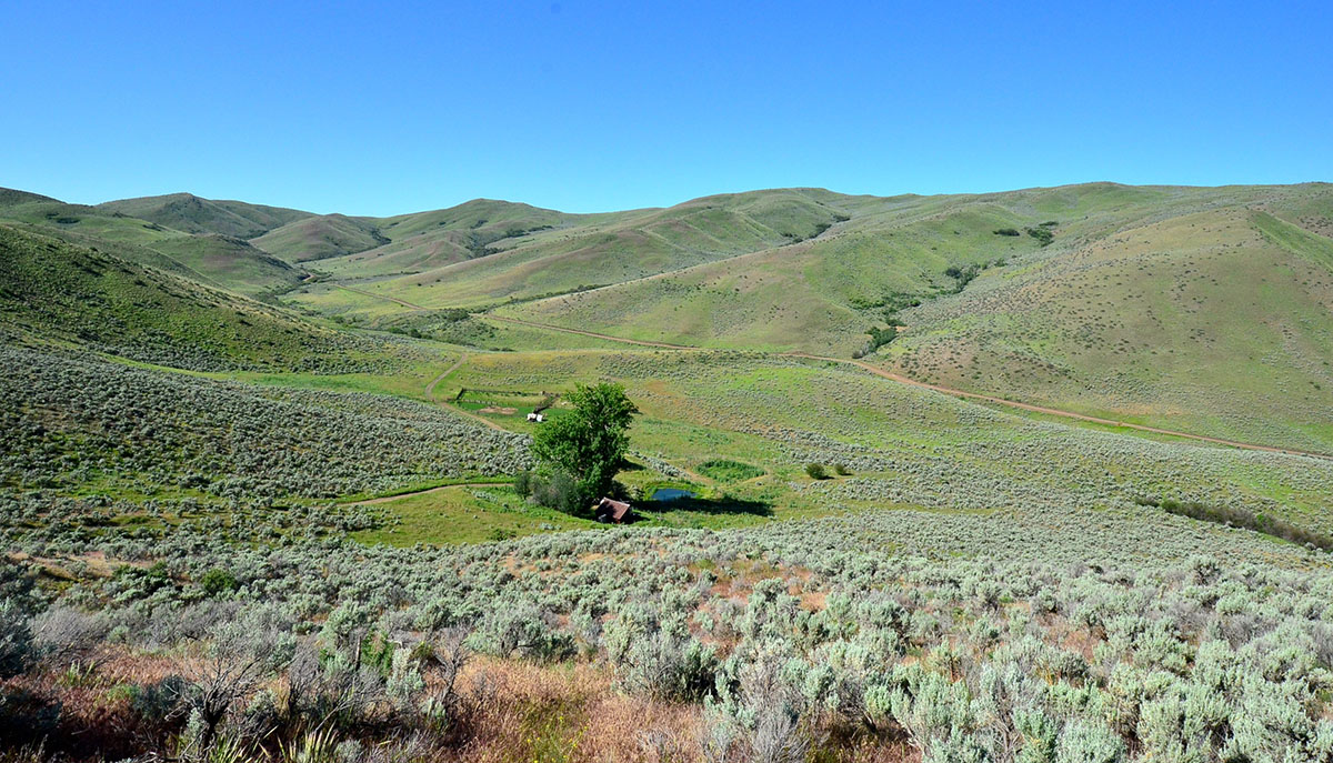 Rocking M Ranch Unit property picture 37 of 46