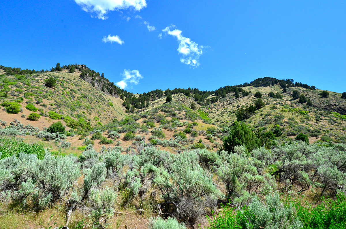 Rocking M Ranch Unit property picture 17 of 46