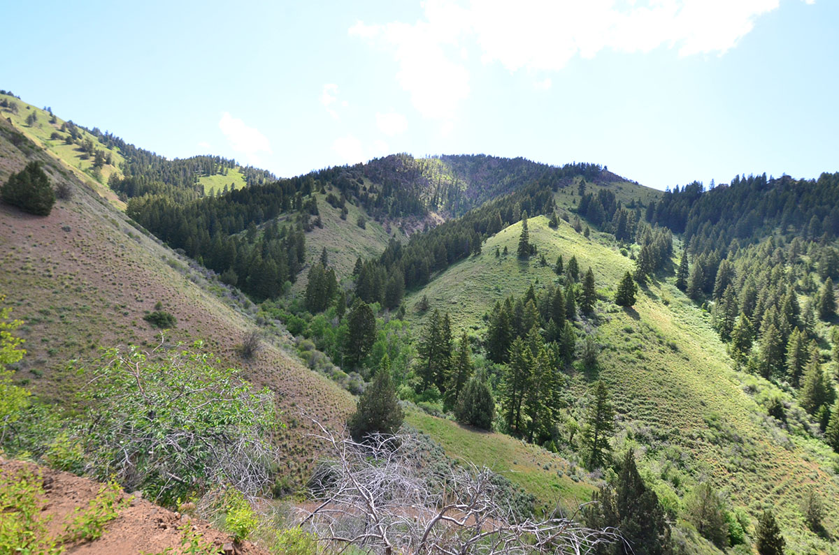 Rocking M Ranch Unit property picture 16 of 46