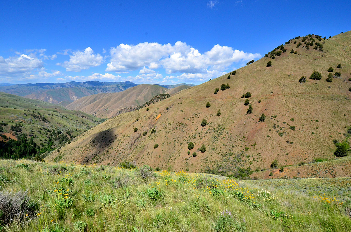 Rocking M Ranch Unit property picture 15 of 46