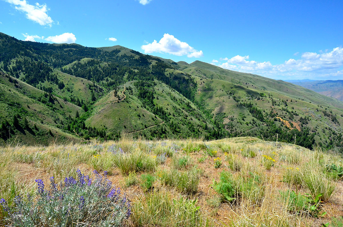 Rocking M Ranch Unit property picture 14 of 46