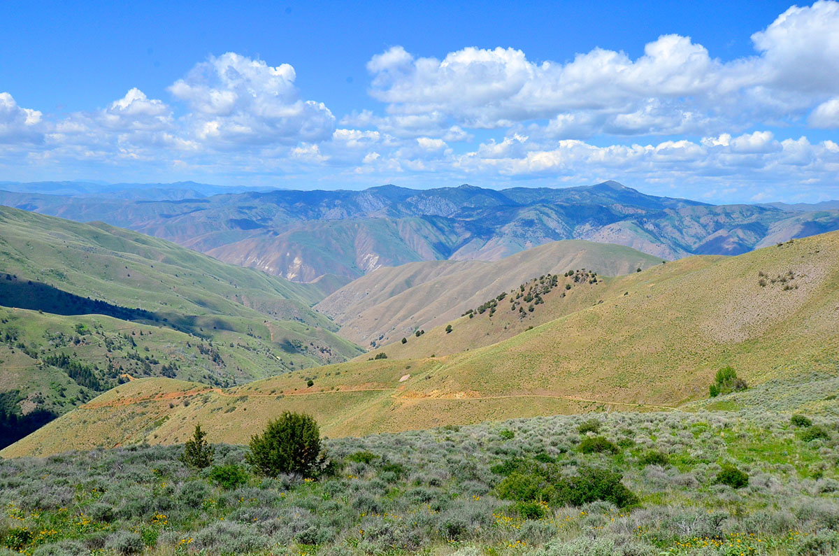 Rocking M Ranch Unit property picture 13 of 46