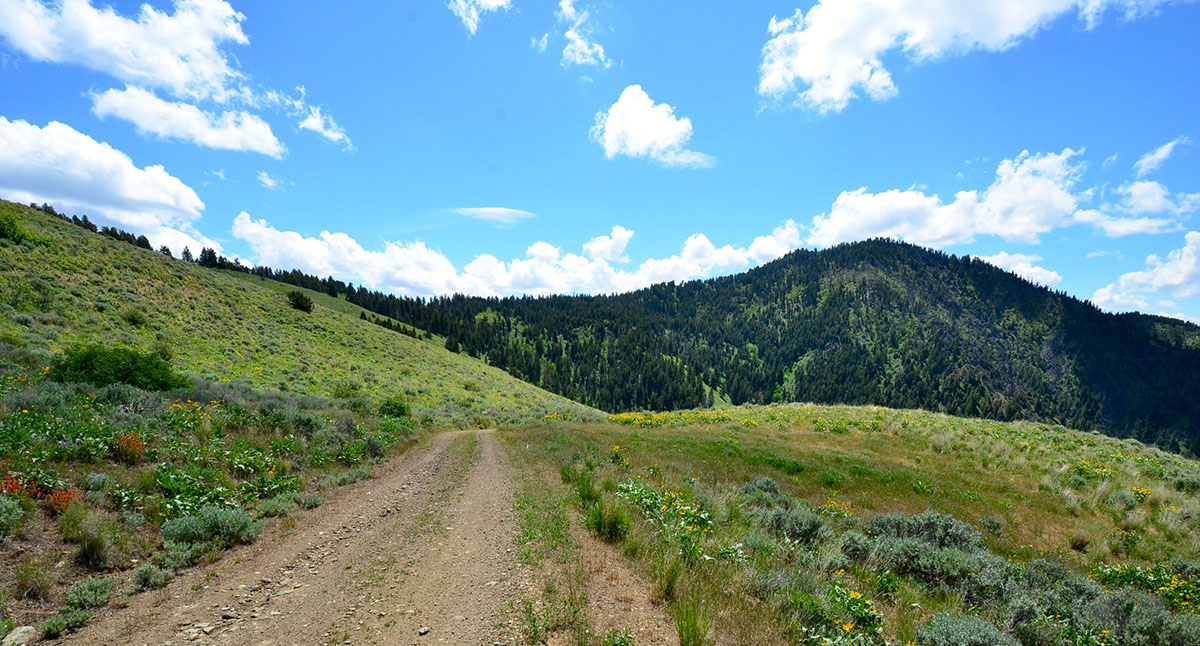 Rocking M Ranch Unit property picture 12 of 46