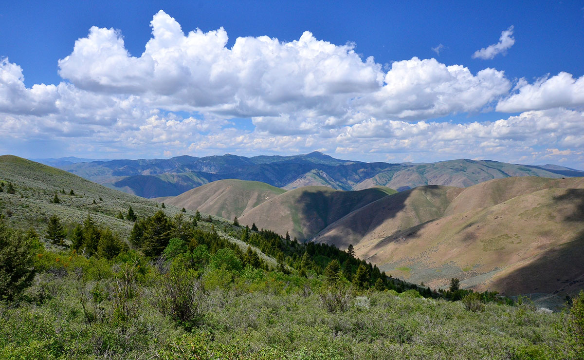 Rocking M Ranch Unit property picture 11 of 46