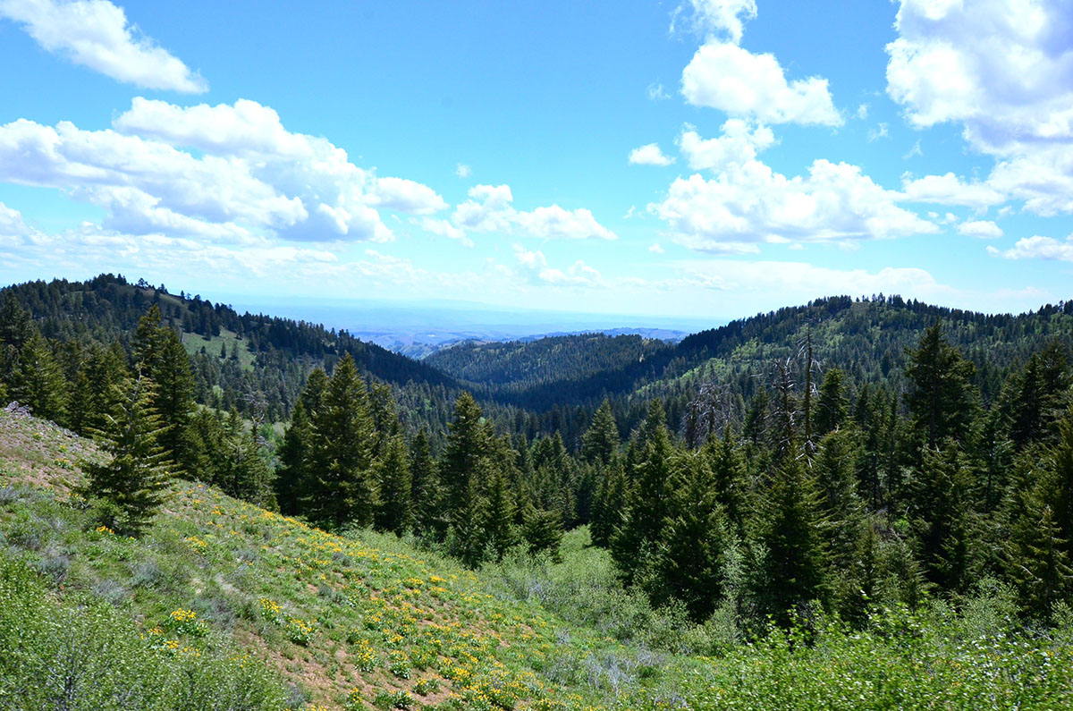 Rocking M Ranch Unit property picture 45 of 46