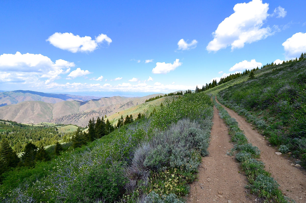Rocking M Ranch Unit property picture 24 of 46