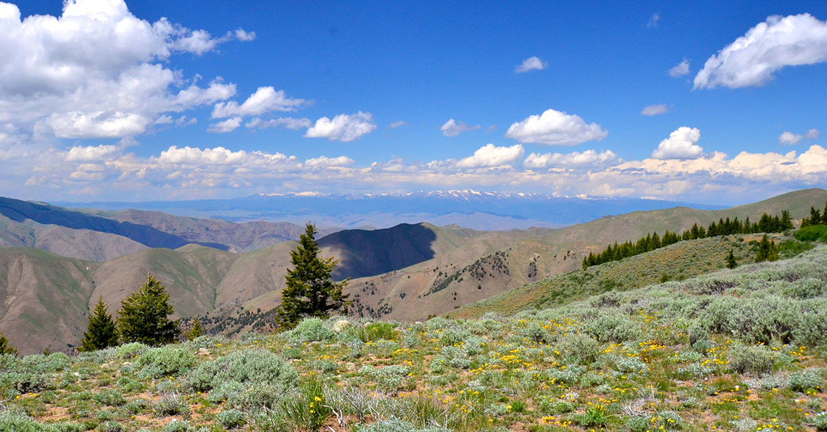Rocking M Ranch Unit property picture 8 of 46