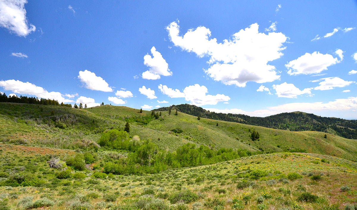 Rocking M Ranch Unit property picture 7 of 46