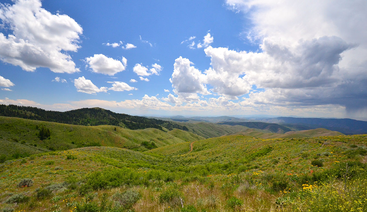 Rocking M Ranch Unit property picture 6 of 46
