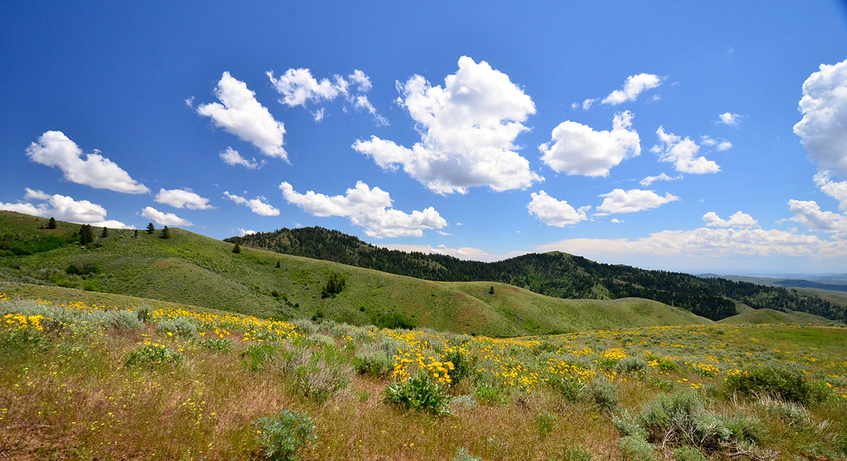 Rocking M Ranch Unit property picture 5 of 46