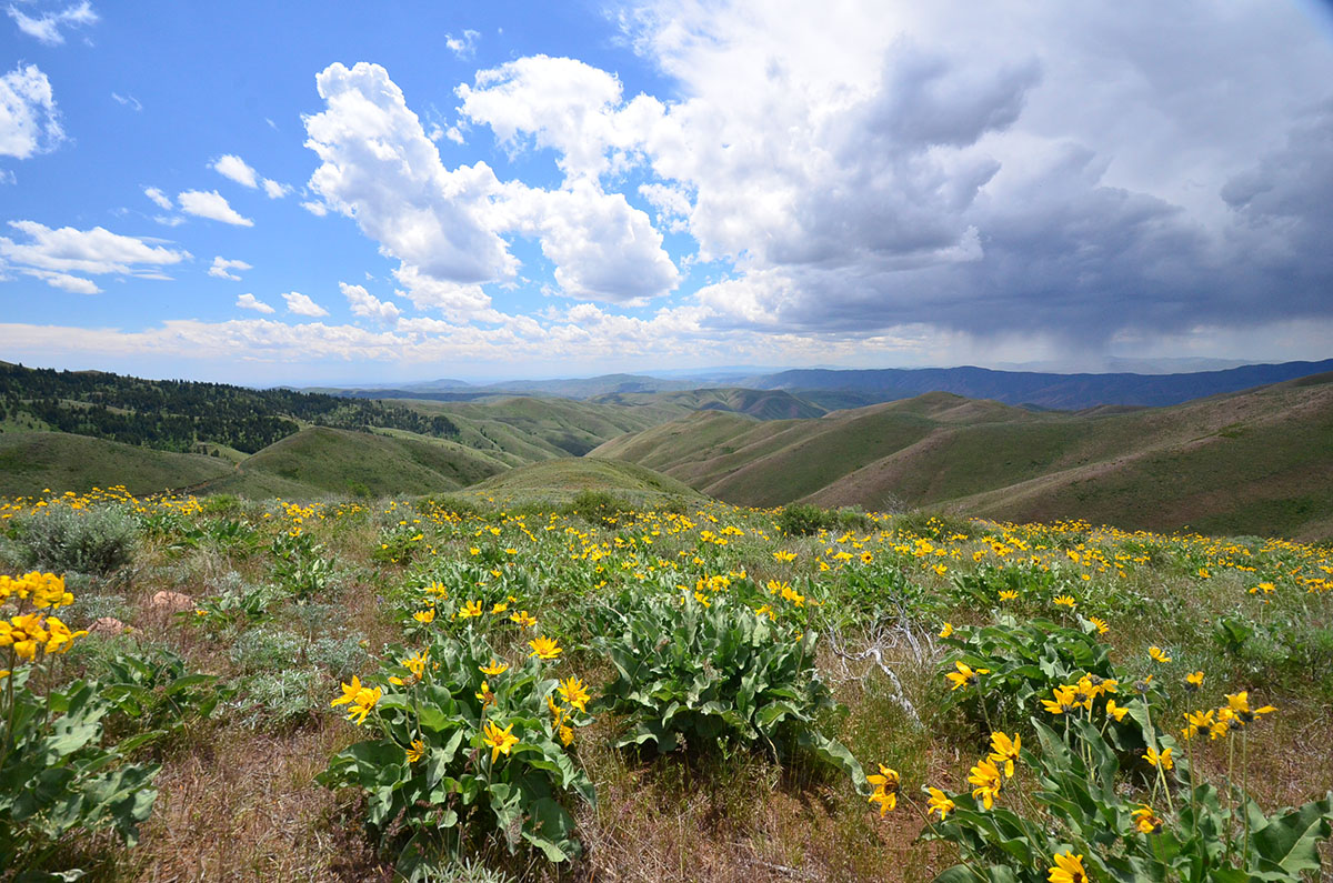 Rocking M Ranch Unit property picture 4 of 46