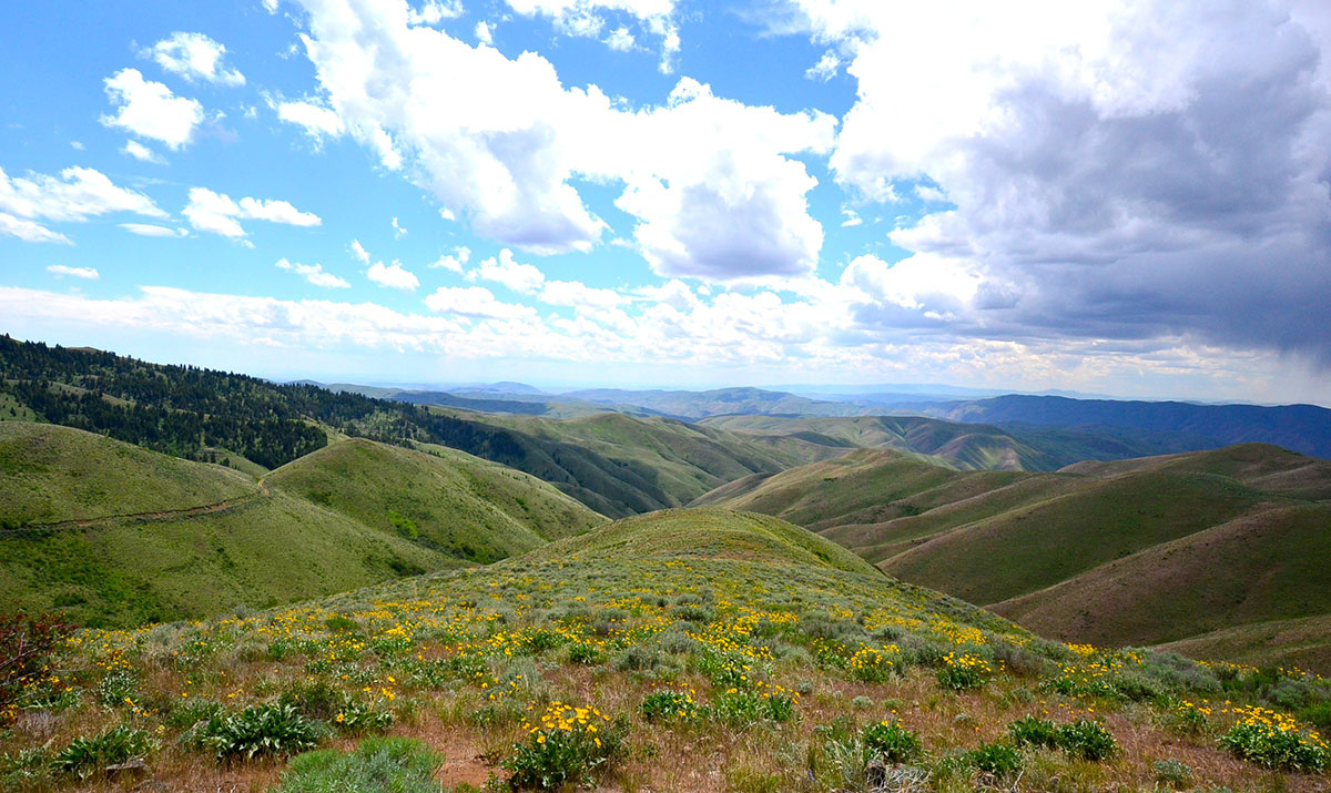 Rocking M Ranch Unit property picture 2 of 46