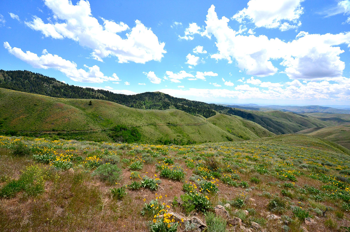 Rocking M Ranch Unit property picture 46 of 46