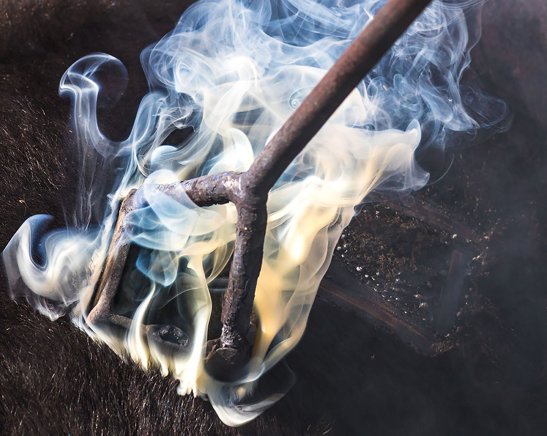 Hobble Diamond Ranch - South Unit property picture 10 of 76