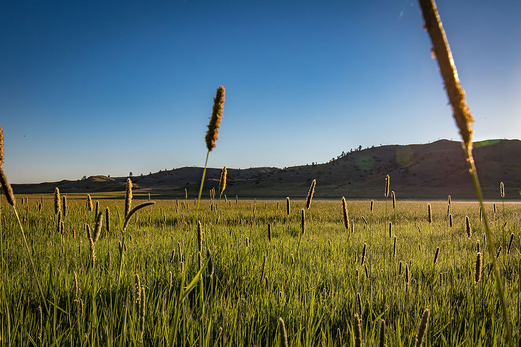 Hobble Diamond Ranch - South Unit property picture 42 of 76