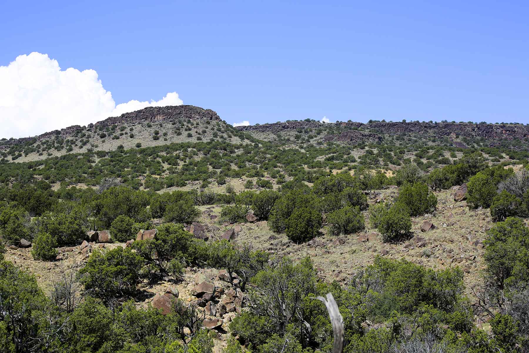 King Brothers' Alamo Ranch Hall and Hall