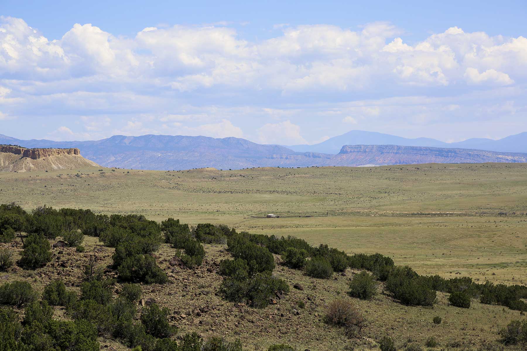 King Brothers' Alamo Ranch Hall and Hall