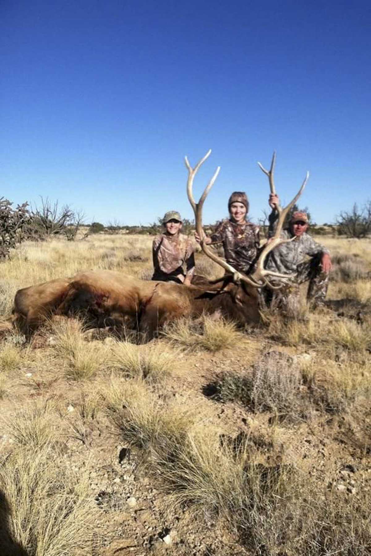 King Brothers' Alamo Ranch property picture 21 of 23