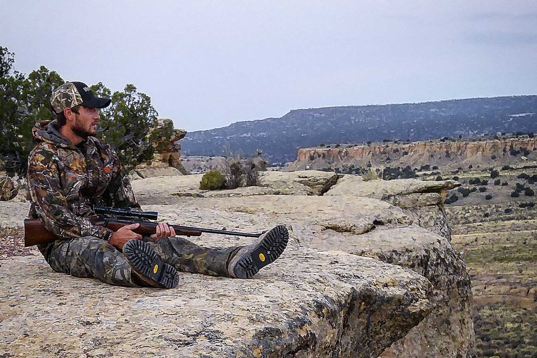 King Brothers' Alamo Ranch property picture 22 of 23