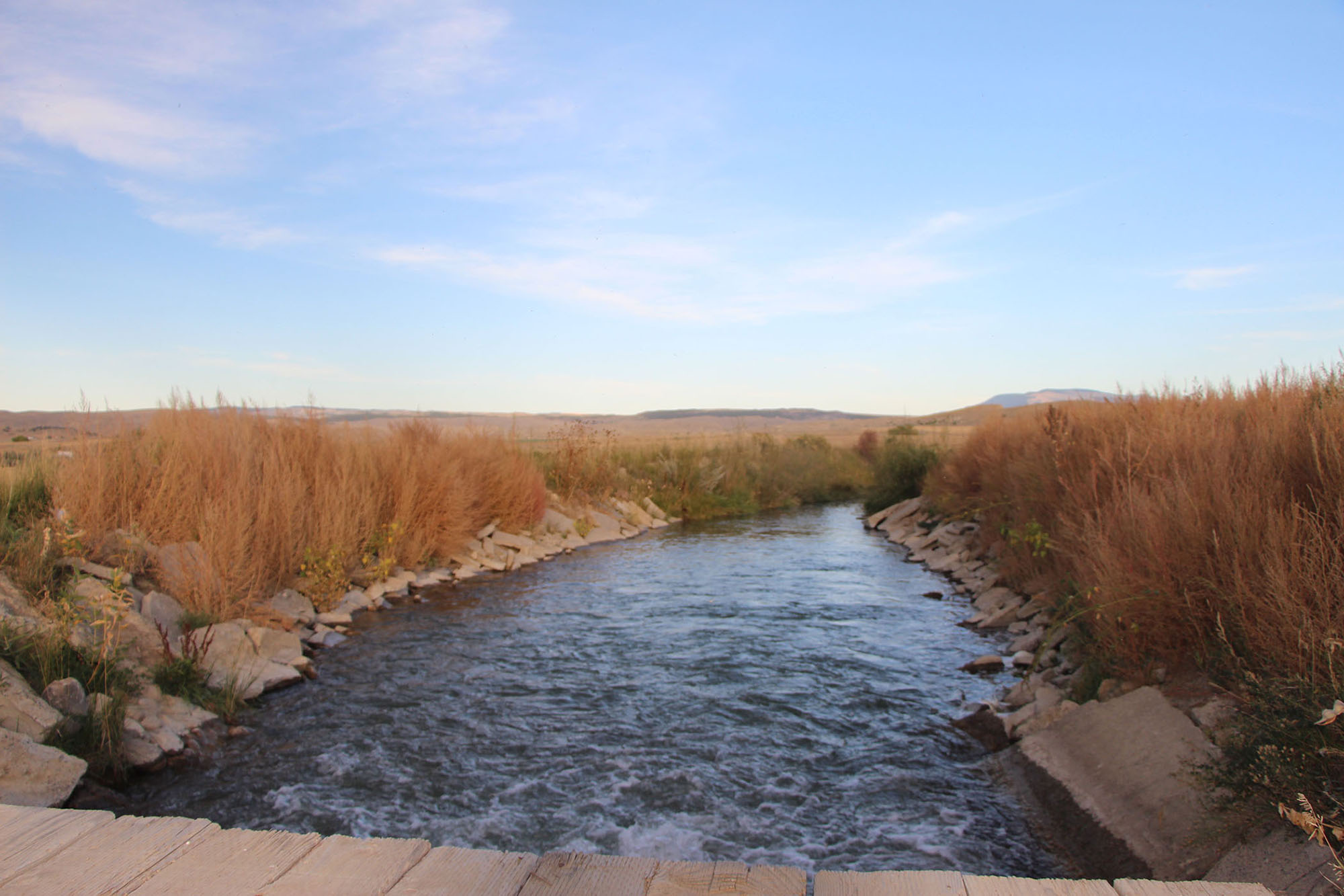 Rocking JY Ranch property picture 14 of 23