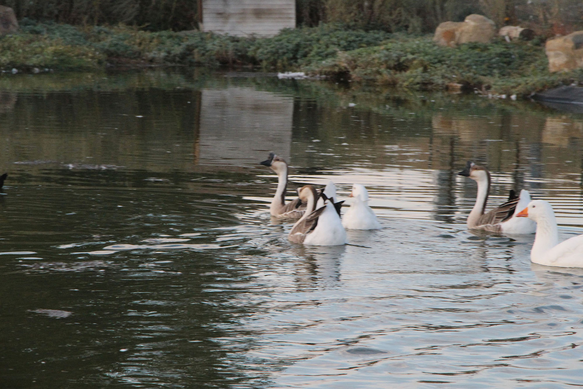 Rocking JY Ranch property picture 6 of 23