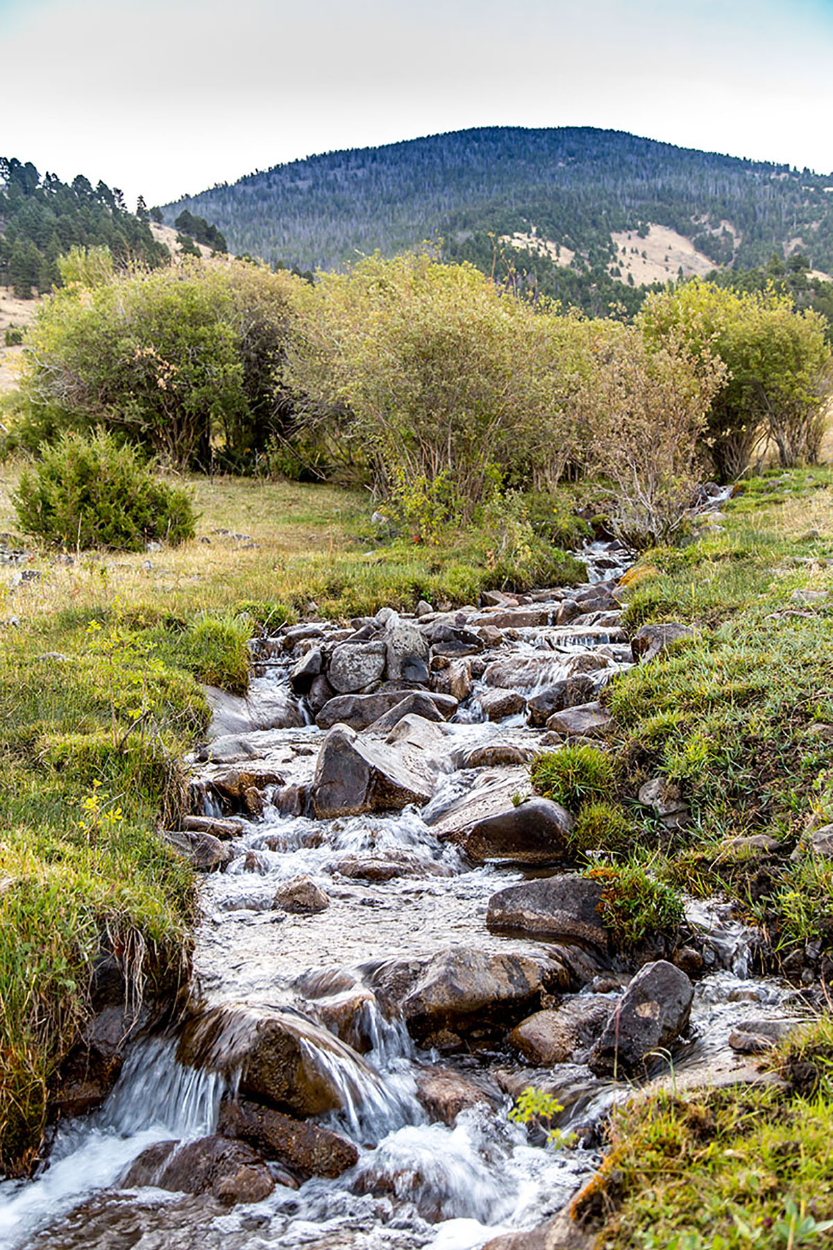 Quagle Creek Ranch property picture 11 of 19
