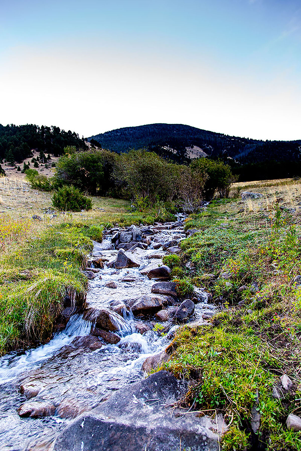 Quagle Creek Ranch property picture 4 of 19
